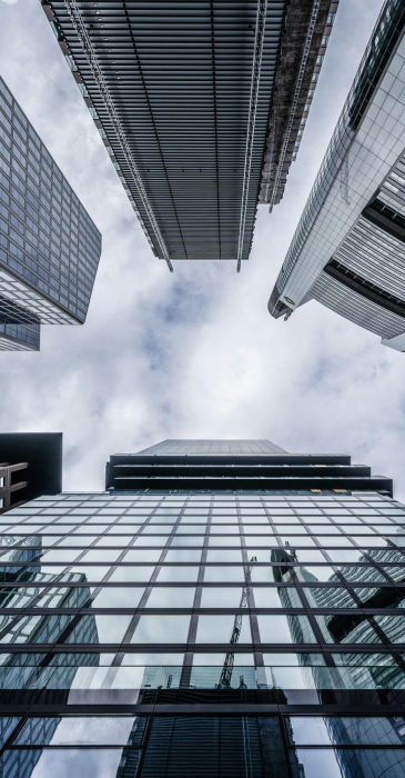 pexels-frankfurtpictures-3646913